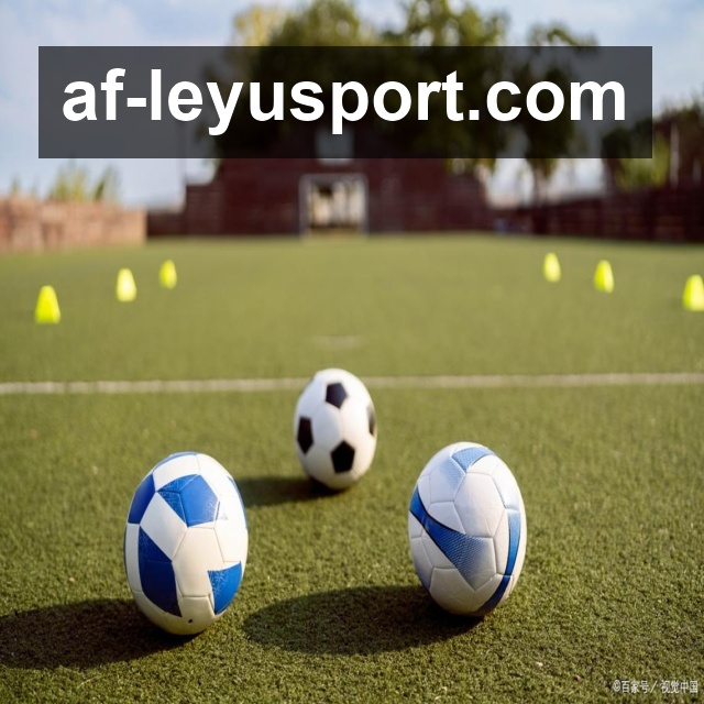 <strong>乐鱼体育</strong>全球化体育服务团队形象